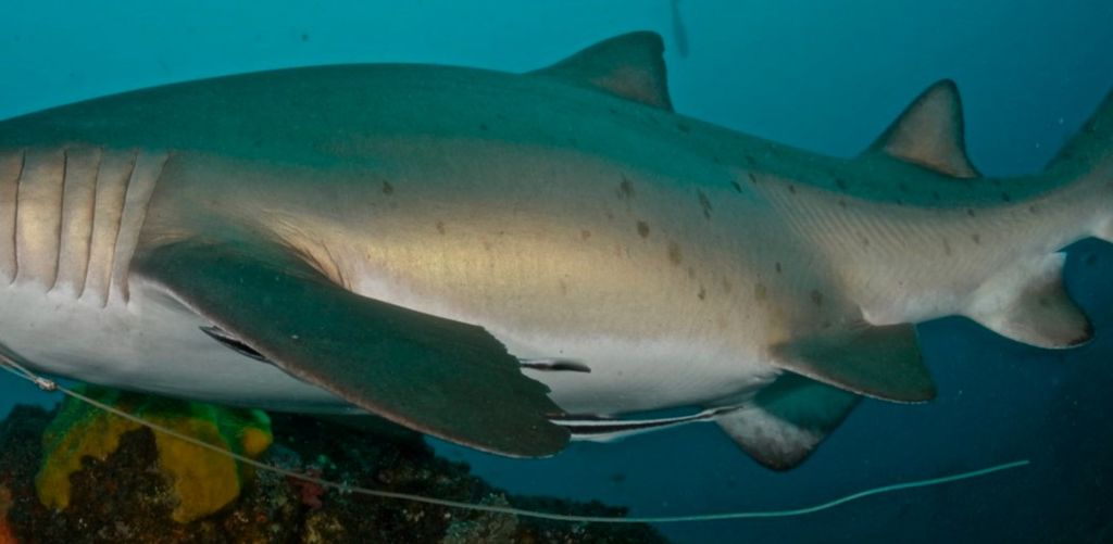 e41b82c0-e9e7-4a15-b8c8-a8fc764a1ec0