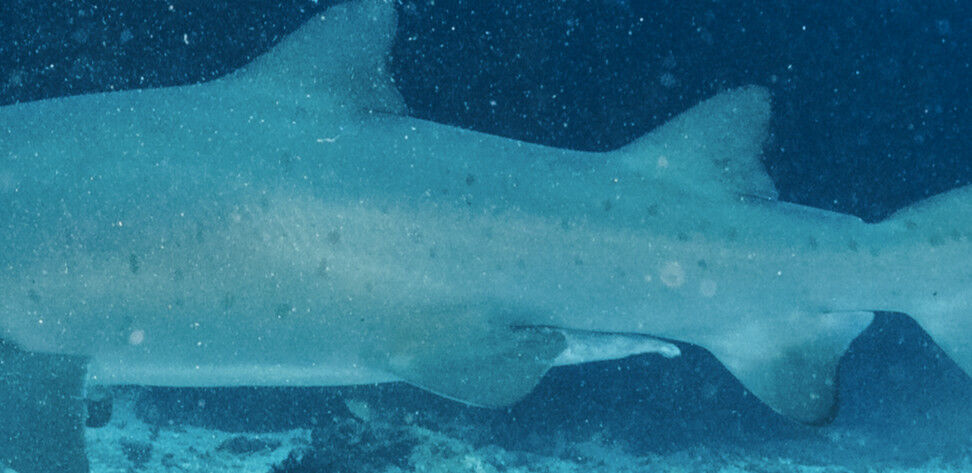 25e46580-5c11-4992-832d-0d46f7e9dabd