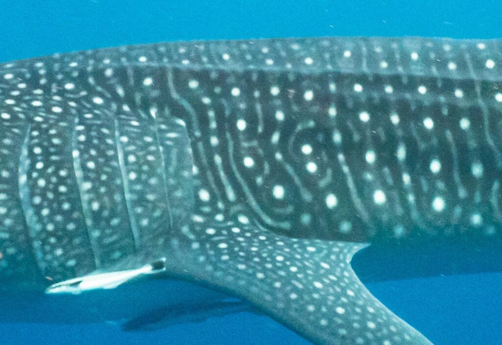 b637452a-facb-4b4e-bfe3-b9c2bbcddde7