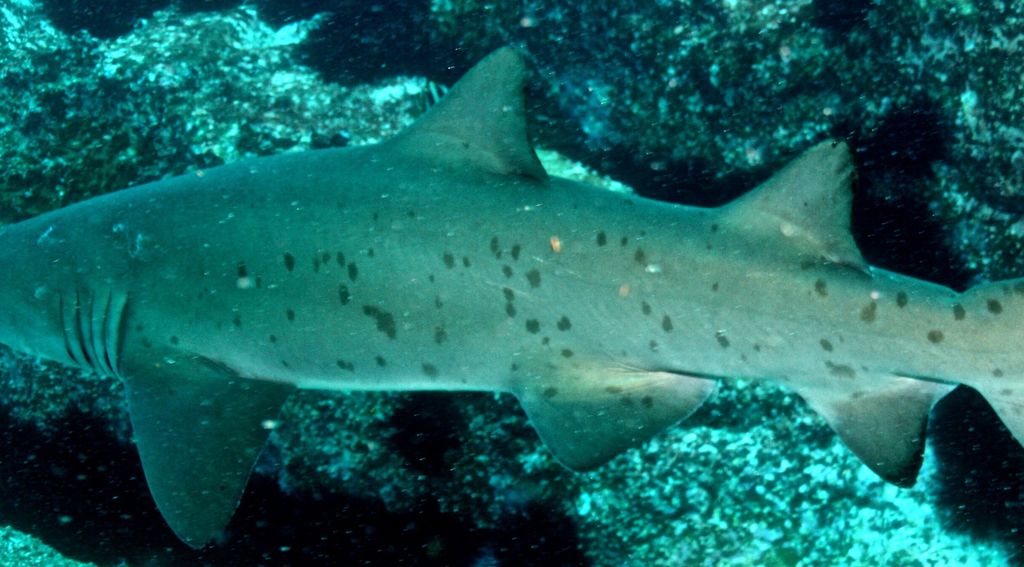 ee7ff81b-3b99-4ede-94e2-afa427ae1d81