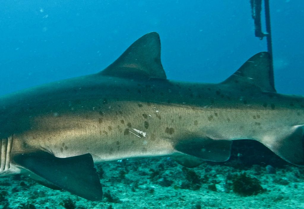 b1fba666-b927-4d21-b4b1-e55ccacd35f8