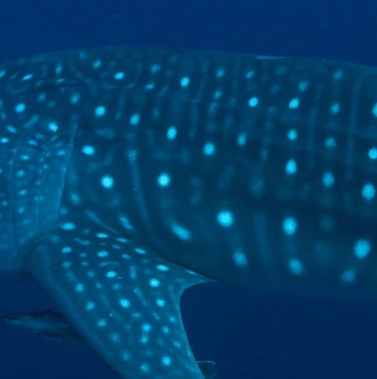 3b299980-2c30-4f09-8fcf-a02ab1b9cd20