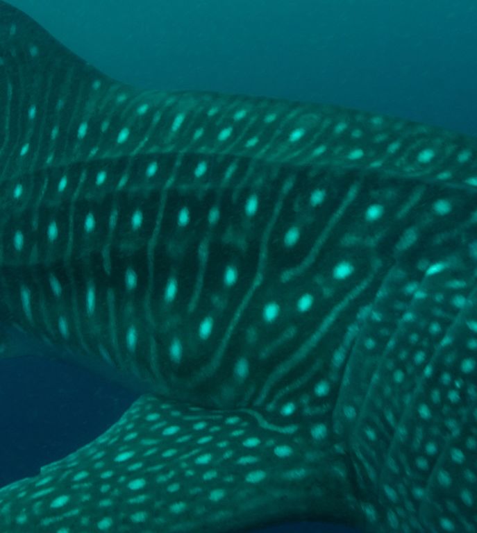 345c9238-2629-47bd-bbd4-9d0735b9e475