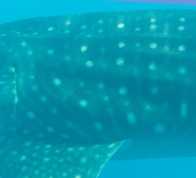 06c0fccf-d4c9-4c37-ab8b-2127332a1a59