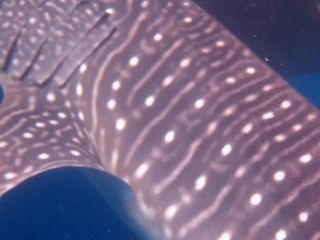 2d0c6d9b-07d0-4910-9fe5-74c2851836c5