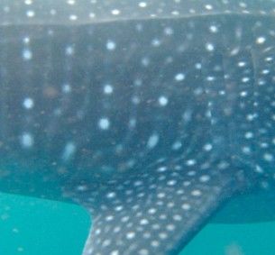 6bdbcf3a-25d5-4b9d-bac8-5aa0dffb7c6a