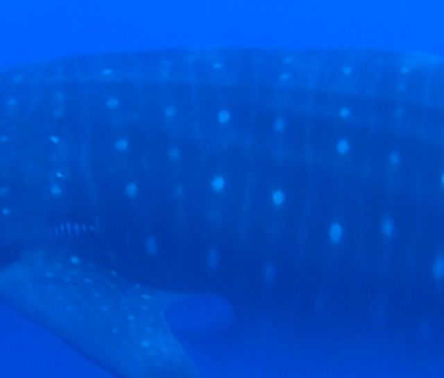 91f4aa5a-6237-42d3-90fd-1cd39cfa0c31