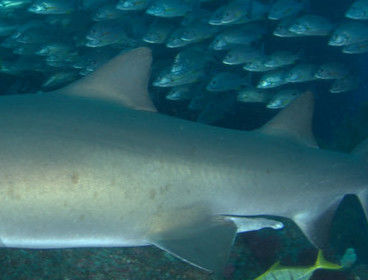 7105b1ea-6d38-4ce3-9c4b-3b6fcfddada3