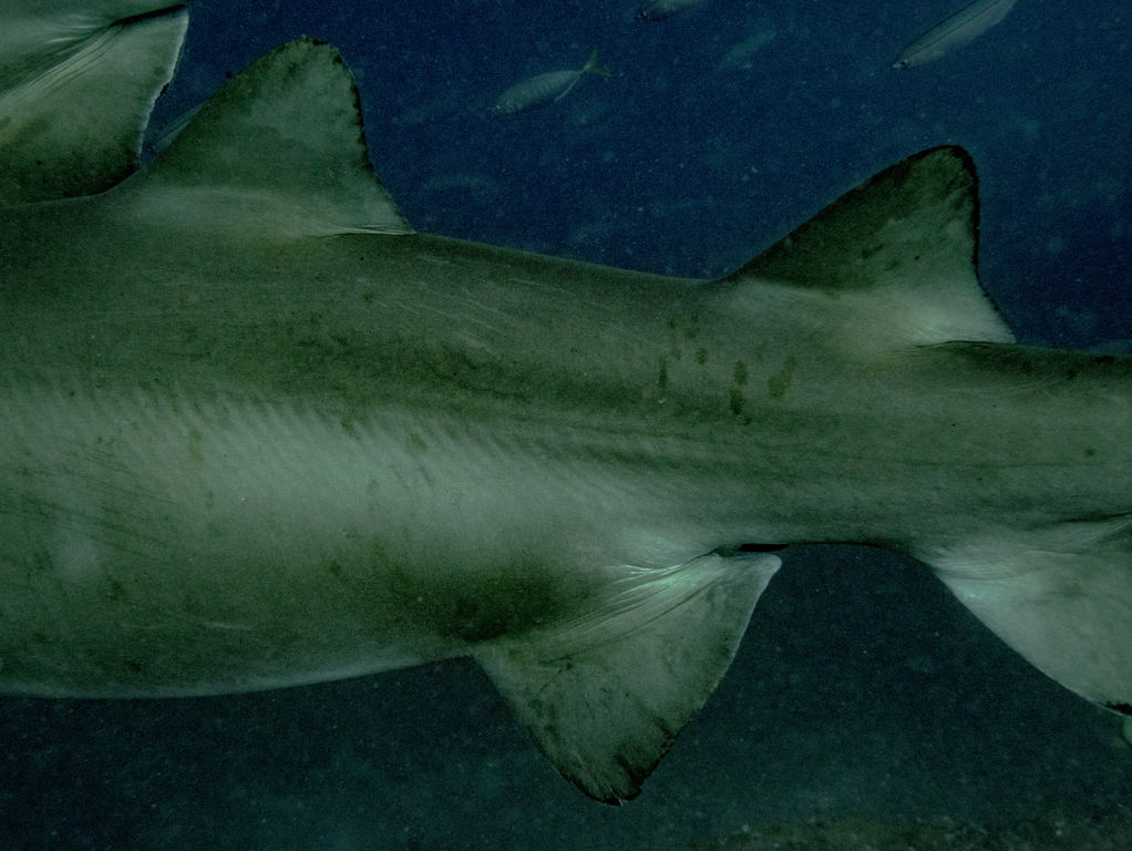 d2f1691e-a67b-4491-91f0-a159de368744