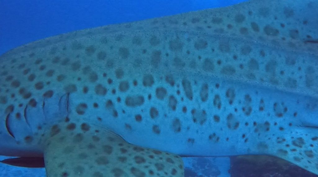 cb28911e-836e-462f-b93b-7e2be9a7cb1a