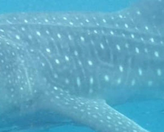 f5d16dd3-aea4-43f1-b7d7-b96f67bf72db