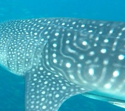 5a9ad49f-f272-47bd-a337-5f6253cb1c80