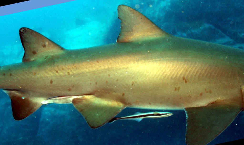 cd4cd5c9-cc66-4f2b-9b85-d888c34e8c58