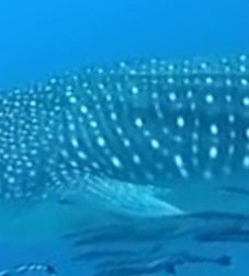 cc6e293e-5792-43e9-bd00-6d7ac6de5bf8