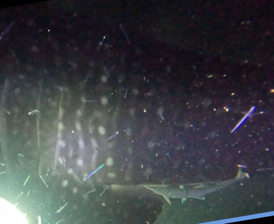 8fddff22-56a8-4711-9a7f-37040d7b5dce