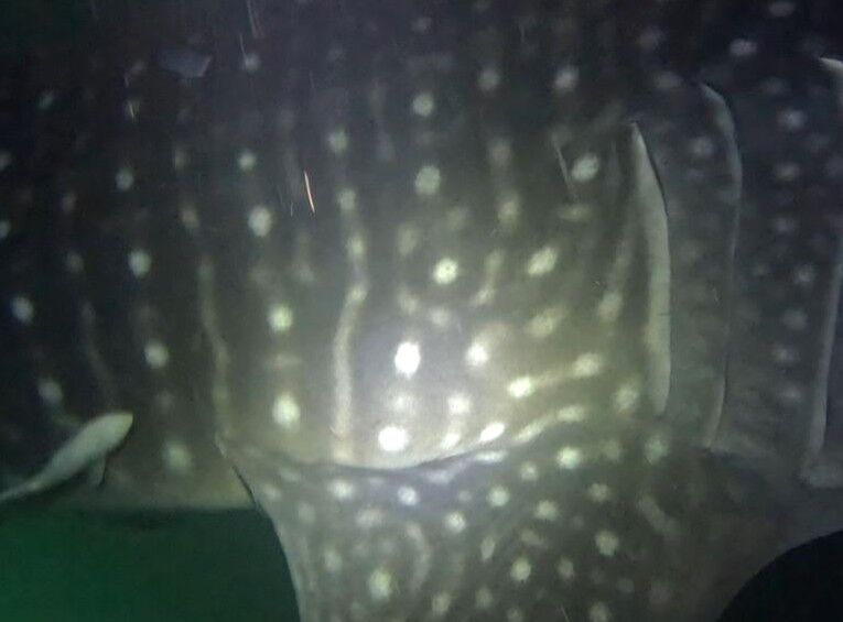 8fddff22-56a8-4711-9a7f-37040d7b5dce