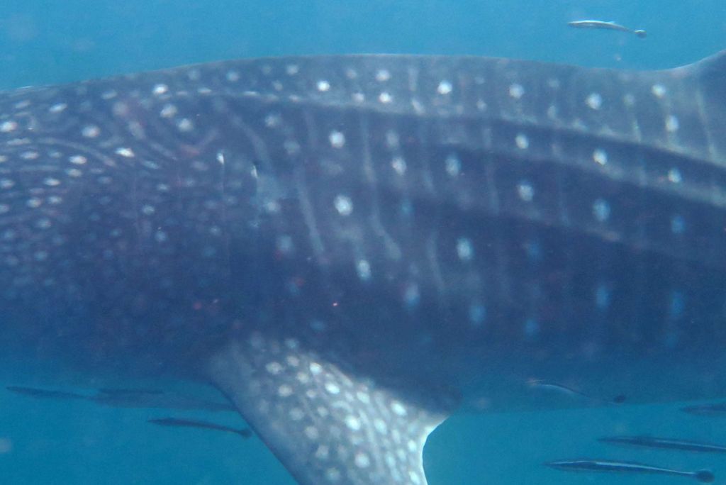 12f96c66-ef25-48bd-906a-8597d849fb7d