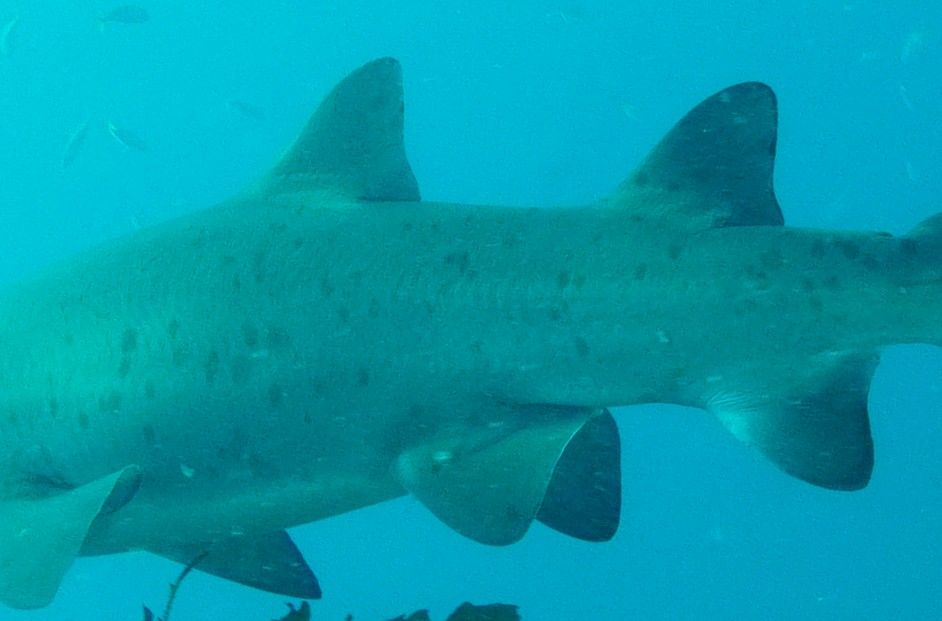 179efdee-96cf-4b26-b3bc-db418251752d