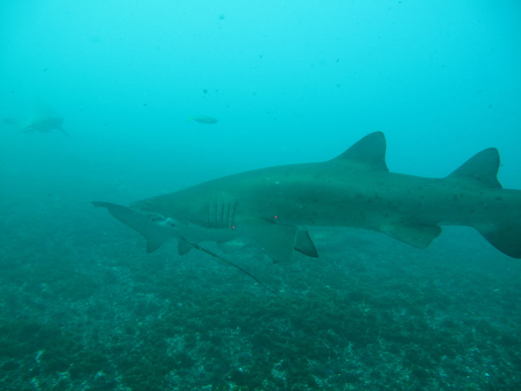 edfc2c3b-e47f-44b5-9484-c435dd7d39ae