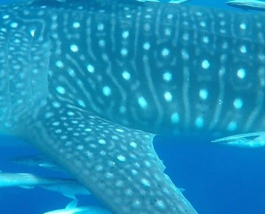 291b9b57-5d62-4eb0-bd1e-23edcf22b587