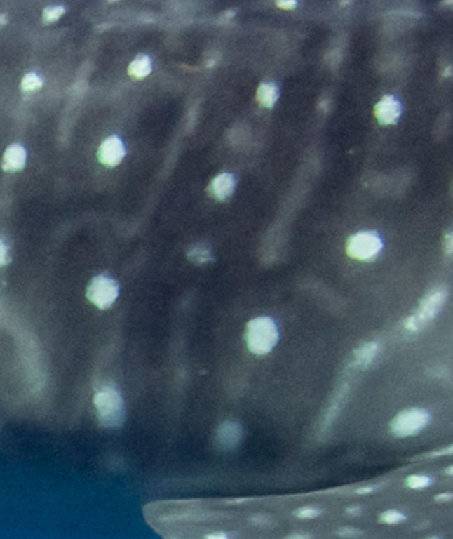 03aaedf1-c950-4063-95af-dca8fcfda47b