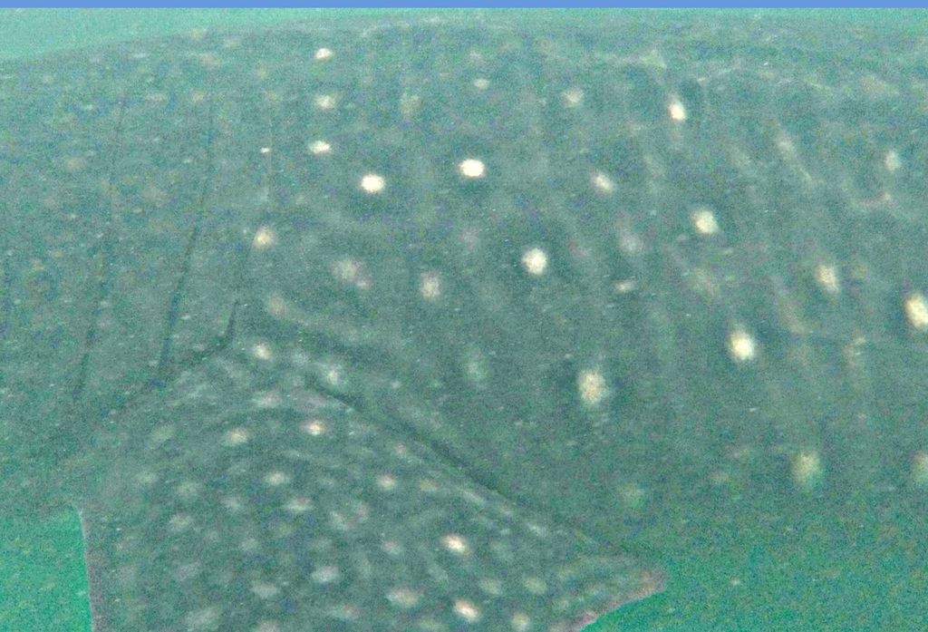 3cef914e-d073-410a-9d39-9f355ed4ef9a