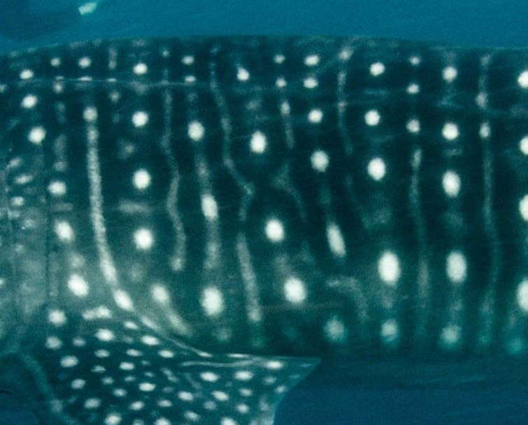 418805df-718f-464b-9b69-6a1bdfeedcf8