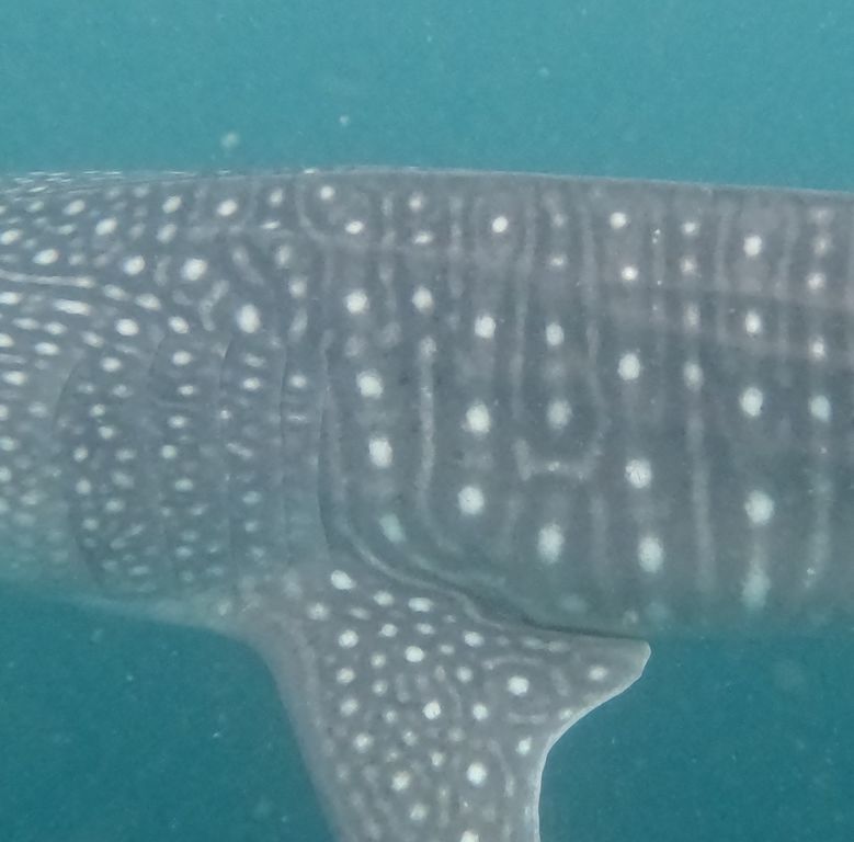 9cf25d32-63d3-4dab-ad73-77f46f9dd1f7