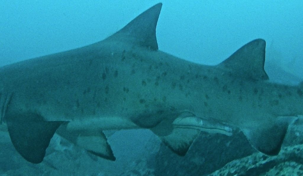 768faf92-ce76-47c1-ba05-08d73fde96e1