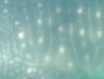 679e35f6-6391-427d-bc88-30a193b4a769