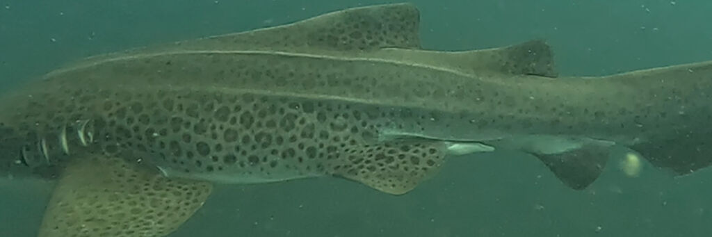 ceb7b860-cf33-46d0-9f9d-54d967501a35