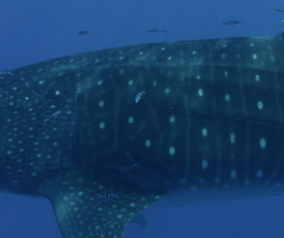 cb5ecafc-7896-44f3-a3c1-3a0510d49cfb