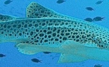 02e71b4b-e7a8-45f4-9ebd-fafce67d2148