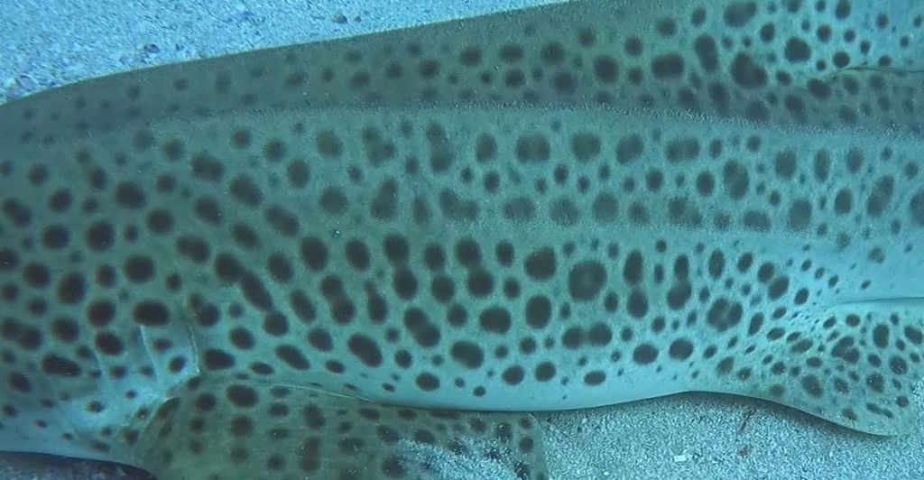 de61da62-48cc-4720-94ad-abe53f8677de