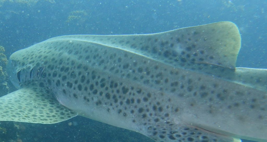 3581bedd-222a-4a3e-ae61-00c6344b8a29