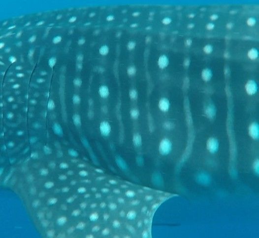 fd7c2e42-2e8c-4ebe-88f3-1557d36e701b