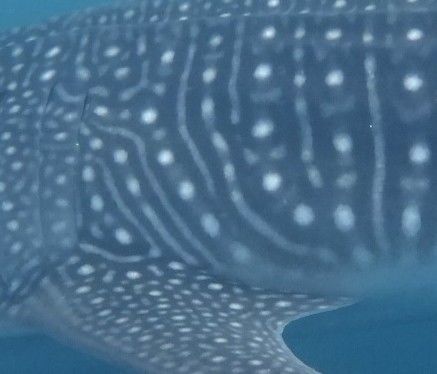 50835134-af83-496f-9ec3-9ae7100474aa