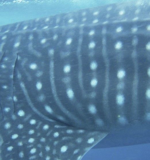 c85881ae-b773-4196-8ff2-bf542872e7ab