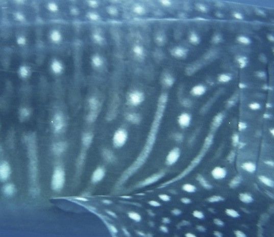 c85881ae-b773-4196-8ff2-bf542872e7ab