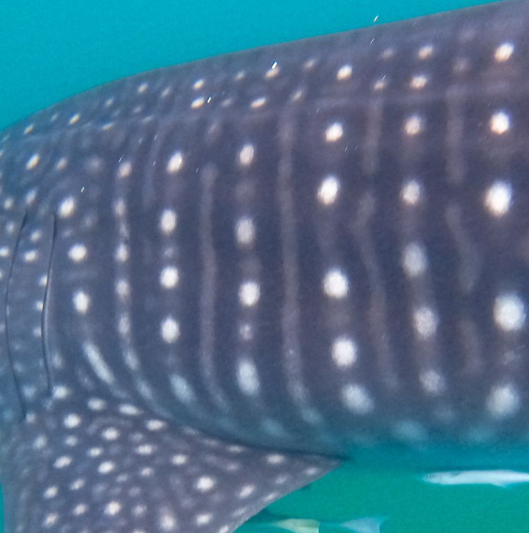 5f6385d4-9a60-446b-92ad-1085c33c3771