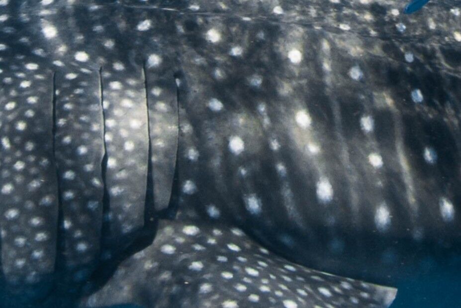 ee2b09ce-641a-4639-b39c-62b0fcdcb28f