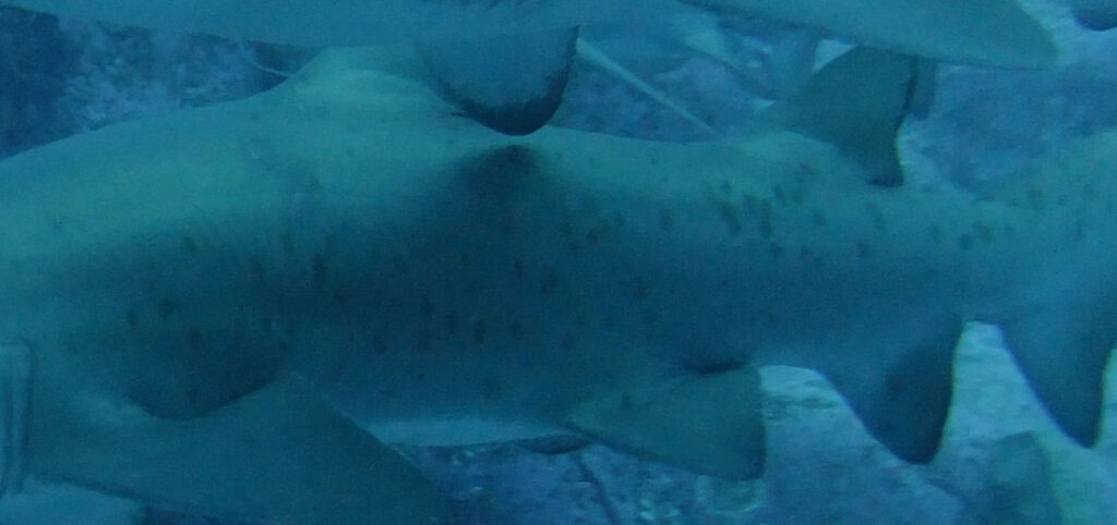 9cbd9a04-0693-4d0d-a3d5-e9f1690fcfa8