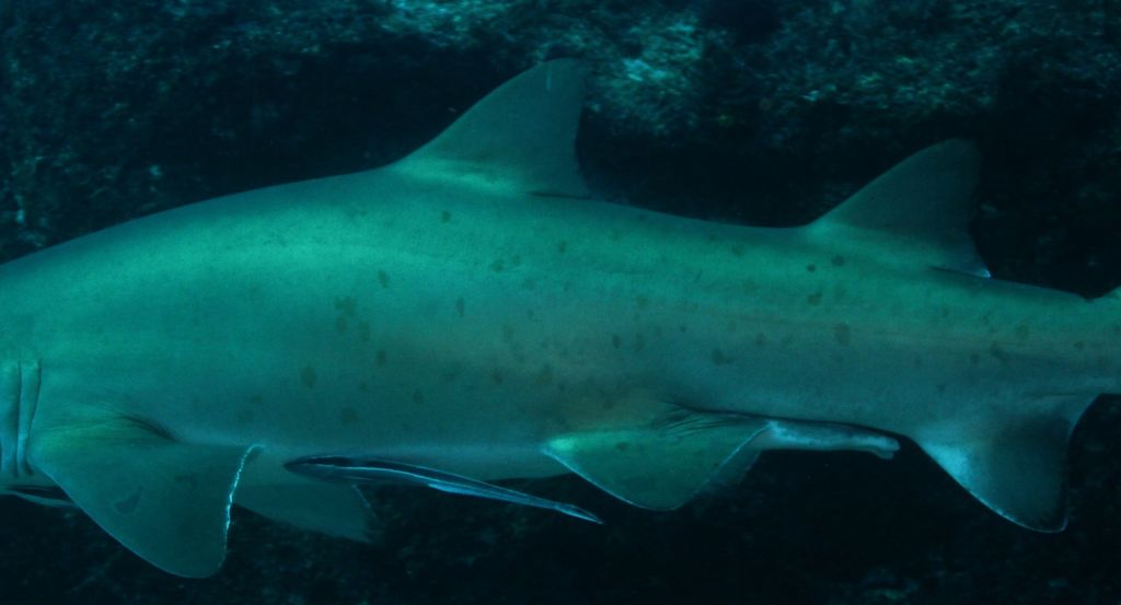 7572d2d2-4971-489d-9eb7-4b42b644f6e3