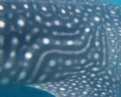 316c8d74-e5e7-4674-8818-681fccf94259