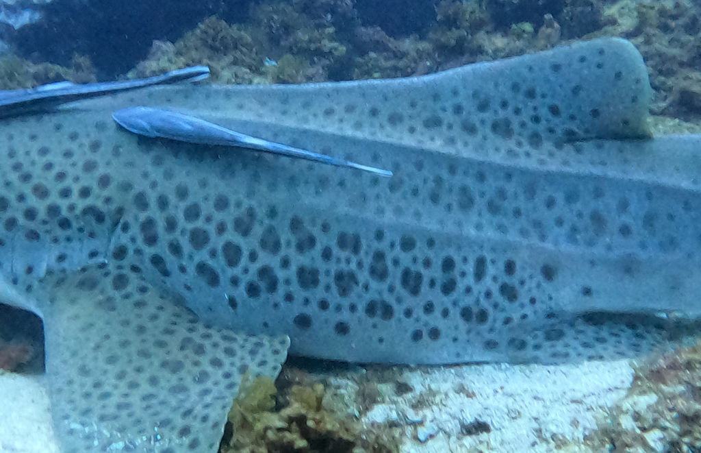 39f520af-3168-4139-a05a-30e9213a551d