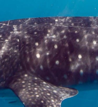 7bb03183-aa10-4434-b7b7-70376d9d1089