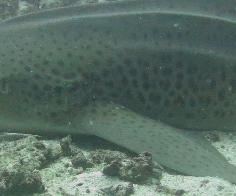 4726deb4-c84c-4f80-b9b4-df4d903ccf8a