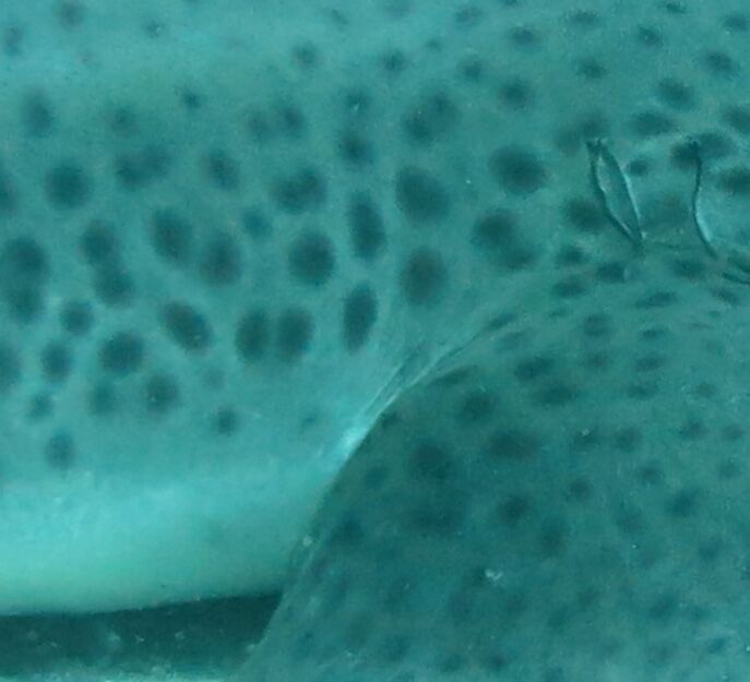 4726deb4-c84c-4f80-b9b4-df4d903ccf8a