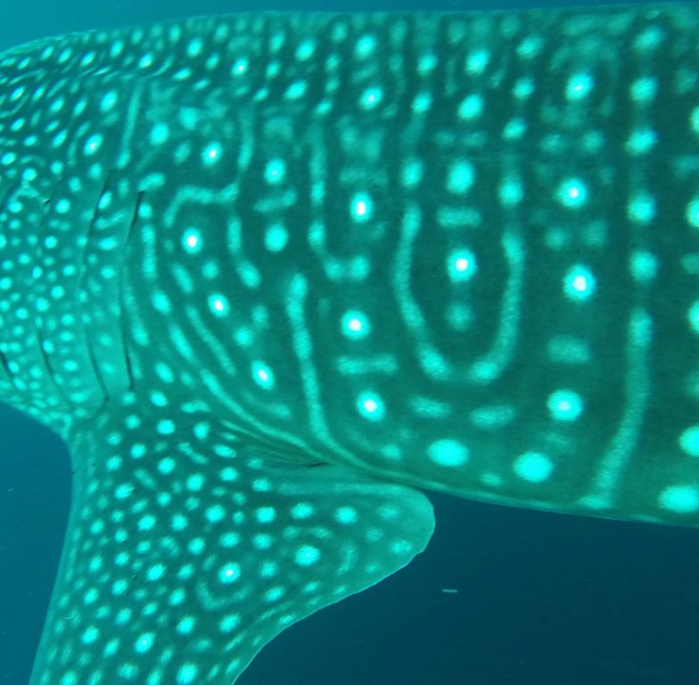 cc6955ba-6fd4-4f39-8608-8078505365a6