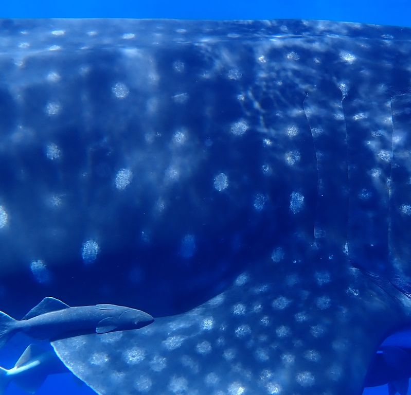 acfdd706-caaf-4d19-97dc-3421ab99ef5b